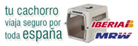 Viaja Seguro