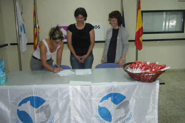 Fundacion DFA