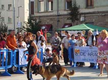 Exposición Jaca 2009