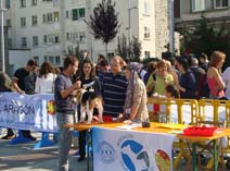 Exposición Jaca 2009