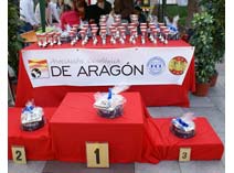 Exposicion Jaca 2009