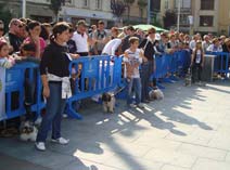 Exposición Jaca 2009
