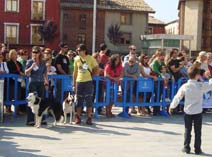 Exposición Jaca 2009