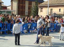 Exposición Jaca 2009