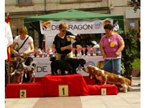 Exposición Jaca 2009