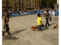 Exposición Jaca 2009