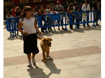 Exposición Jaca 2009
