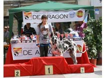 Exposición Jaca 2009