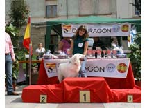 Exposición Jaca 2009