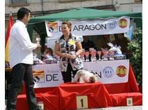 Exposición Jaca 2009
