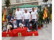 Exposición Jaca 2009