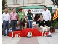 Exposición Jaca 2009