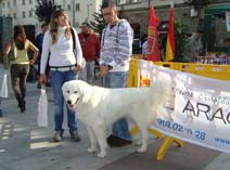 Exposición Jaca 2009