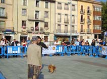 Exposición Jaca 2009
