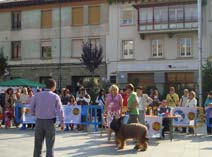 Exposición Jaca 2009
