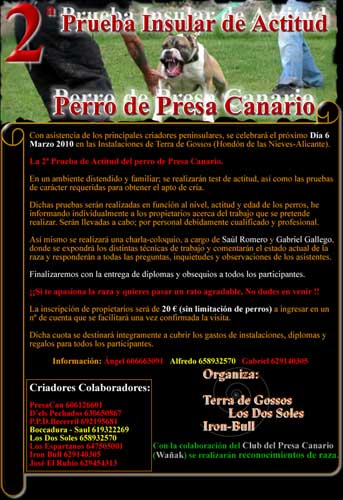 Perro de presa canario
