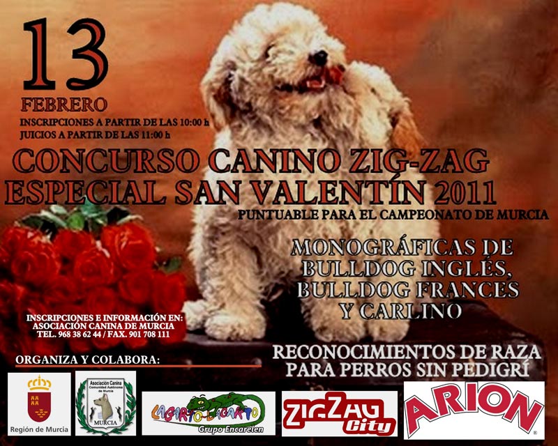 Concurso Canino