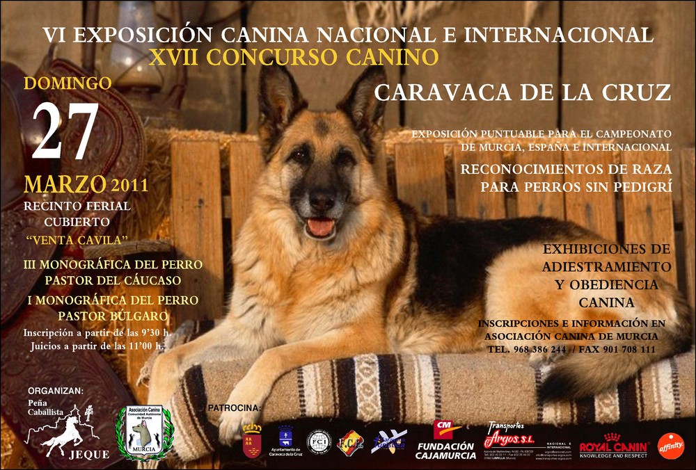 VI EXPOSICIÓN CANINA NACIONAL E INTERNACIONAL CARAVACA DE LA CRUZ 2011
