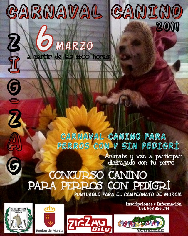 CARNAVAL CANINO ZIG ZAG 2011