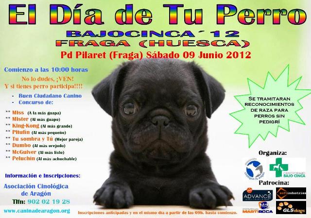 EL DIA DE TU PERRO 2012