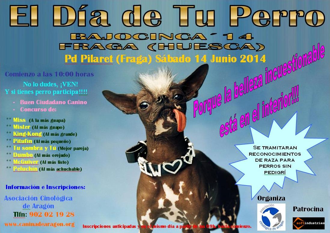 El Día de Tu Perro - Bajocinca 2014 El Día de Tu Perro - Bajocinca 2014