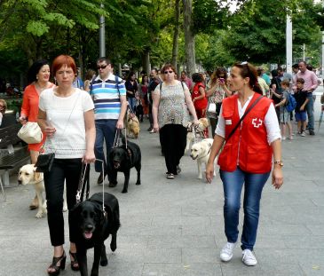 Los perros-guía protagonizan una jornada festiva en el centro de Zaragoza Los perros-guía protagonizan una jornada festiva en el centro de Zaragoza