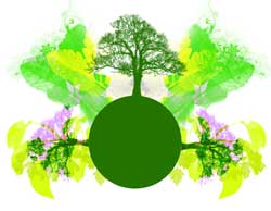 Sitio Web Excofrut