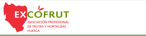 EXCOFRUT